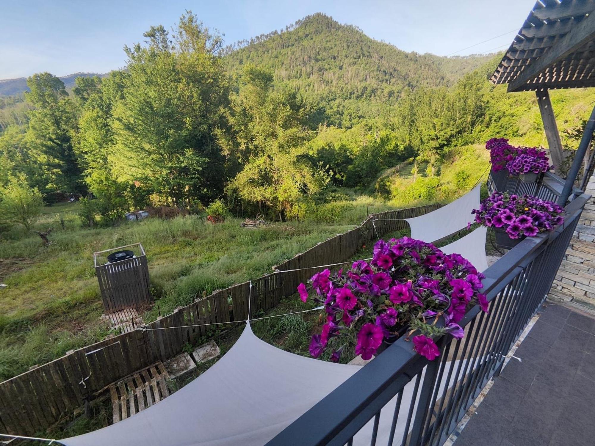 Agriturismo Terre Di Ginepro Borghetto di Vara Exterior foto